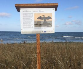 Bike nature trail sign about cormorants, När, Gotland